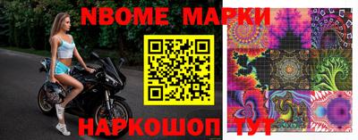 хмурый Сланцы