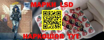 хмурый Сланцы