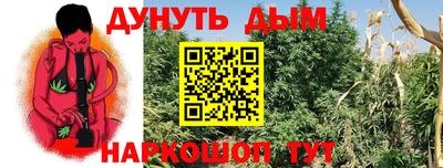 хмурый Сланцы