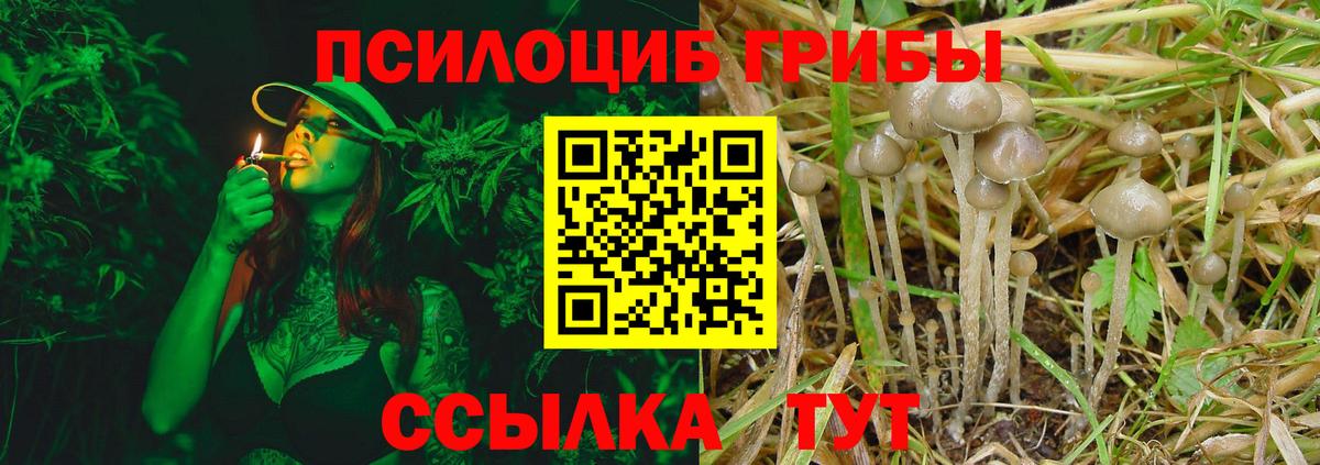 Псилоцибиновые грибы прущие грибы  Псилоцибиновые грибы ЛСД  Нижний Новгород  Вход с VPN 